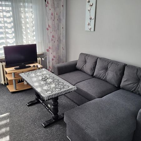 Apartament Sosnowy Z Parkingiem Stary Toruń Exteriér fotografie
