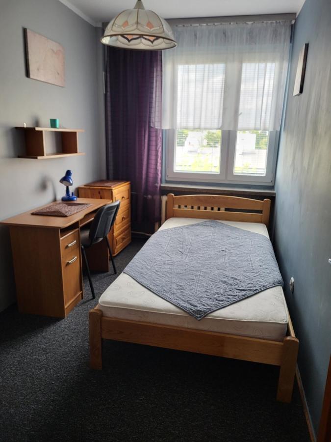 Apartament Sosnowy Z Parkingiem Stary Toruń Exteriér fotografie